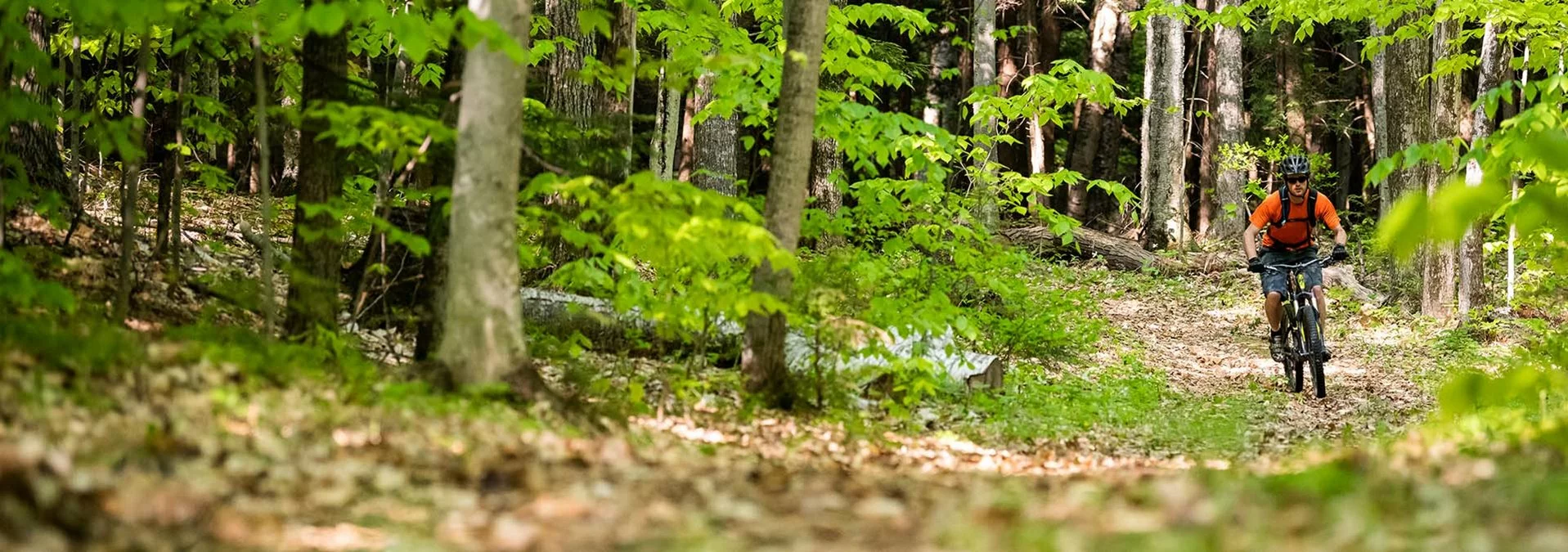 Inner Tubes Sales Store -Inner Tubes Sales Store biking banner